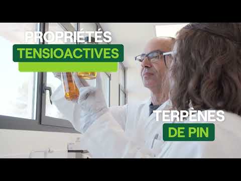 youtube - [Video]