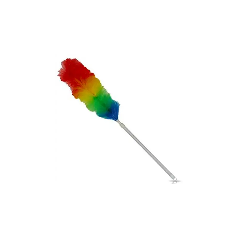 PLUMEAU ANTISTATIQUE TELESCOPIQUE