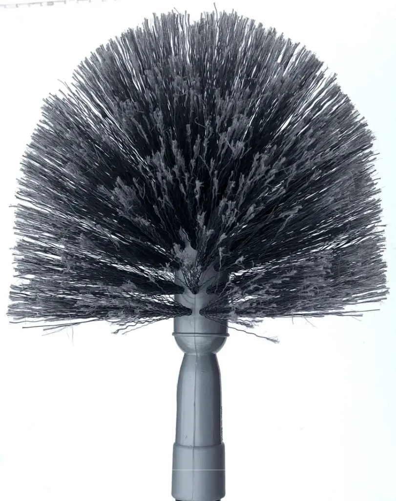 TETE DE LOUP (TETE SEULE)