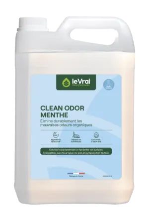 CLEAN ODOR  MENTHE X 5 L
