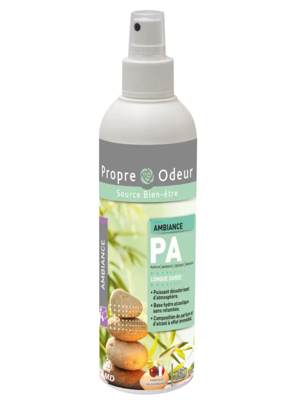 PA BASE HYDRO ALCOOLIQUE 250 ML - AMBIANCE