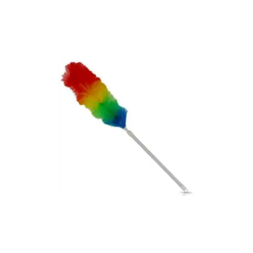 [3326] PLUMEAU ANTISTATIQUE TELESCOPIQUE