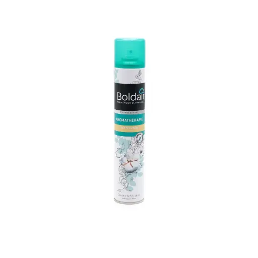 [PV56077201] BOLDAIR AEROSOL X 750 ML BOUQUET MARIN